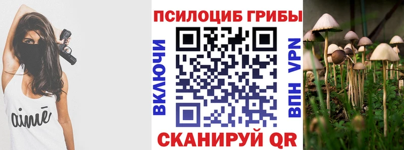 Галлюциногенные грибы Cubensis Ипатово